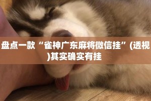 盘点一款“雀神广东麻将微信挂”(透视)其实确实有挂 