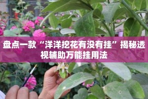 盘点一款“洋洋挖花有没有挂”揭秘透视辅助万能挂用法