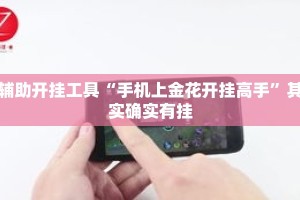 辅助开挂工具“手机上金花开挂高手”其实确实有挂