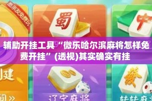 辅助开挂工具“微乐哈尔滨麻将怎样免费开挂”(透视)其实确实有挂 