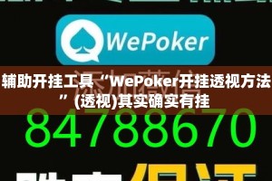 辅助开挂工具“WePoker开挂透视方法”(透视)其实确实有挂 