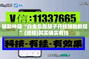辅助神器“白金岛跑胡子开挂辅助教程”(透视)其实确实有挂 