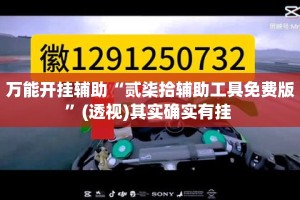 万能开挂辅助“贰柒拾辅助工具免费版”(透视)其实确实有挂 