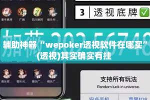 辅助神器“wepoker透视软件在哪买”(透视)其实确实有挂 