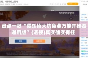 盘点一款“微乐填大坑免费万能开挂器通用版”(透视)其实确实有挂 