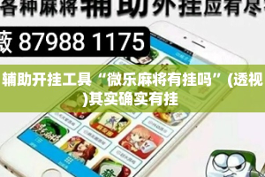 辅助开挂工具“微乐麻将有挂吗”(透视)其实确实有挂 