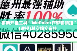辅助开挂工具“WePoker作弊辅助挂”(透视)其实确实有挂 