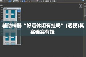 辅助神器“好运休闲有挂吗”(透视)其实确实有挂 
