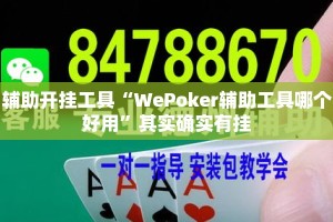 辅助开挂工具“WePoker辅助工具哪个好用”其实确实有挂