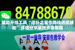 辅助开挂工具“德扑之星作弊挂透视辅助”详细分享装挂步骤教程