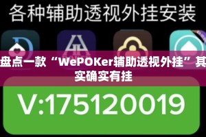 盘点一款“WePOKer辅助透视外挂”其实确实有挂