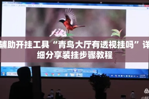 辅助开挂工具“青鸟大厅有透视挂吗”详细分享装挂步骤教程
