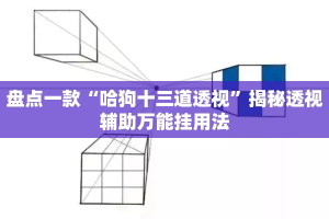 盘点一款“哈狗十三道透视”揭秘透视辅助万能挂用法