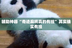 辅助神器“奇迹麻将真的有挂”其实确实有挂