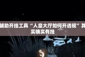 辅助开挂工具“人皇大厅如何开透视”其实确实有挂