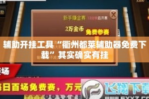 辅助开挂工具“衢州都莱辅助器免费下载”其实确实有挂