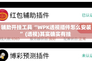 辅助开挂工具“WPK透视插件怎么安装”(透视)其实确实有挂 