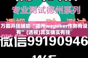 万能开挂辅助“德州wepoker作弊有没有”(透视)其实确实有挂 