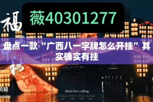 盘点一款“广西八一字牌怎么开挂”其实确实有挂