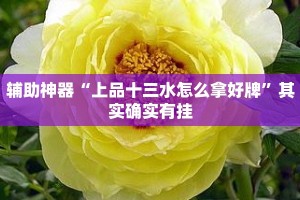 辅助神器“上品十三水怎么拿好牌”其实确实有挂