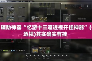 辅助神器“忆游十三道透视开挂神器”(透视)其实确实有挂 