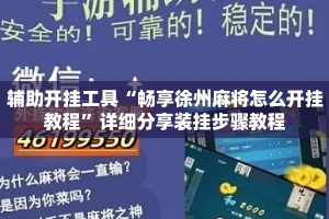 辅助开挂工具“畅享徐州麻将怎么开挂教程”详细分享装挂步骤教程
