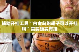 辅助开挂工具“白金岛跑胡子可以开挂吗”其实确实有挂