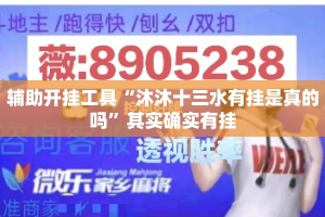 辅助开挂工具“沐沐十三水有挂是真的吗”其实确实有挂