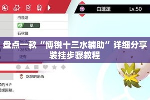盘点一款“博锐十三水辅助”详细分享装挂步骤教程
