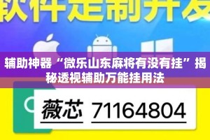 辅助神器“微乐山东麻将有没有挂”揭秘透视辅助万能挂用法