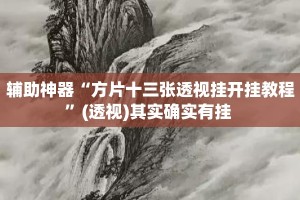 辅助神器“方片十三张透视挂开挂教程”(透视)其实确实有挂 