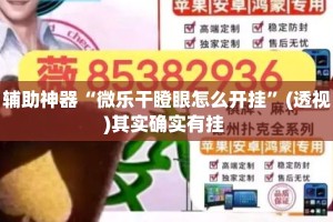 辅助神器“微乐干瞪眼怎么开挂”(透视)其实确实有挂 