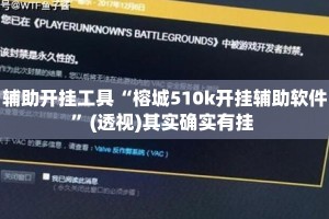辅助开挂工具“榕城510k开挂辅助软件”(透视)其实确实有挂 