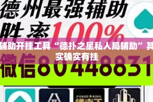 辅助开挂工具“德扑之星私人局辅助”其实确实有挂