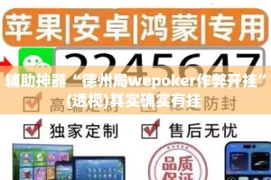 辅助神器“德州局wepoker作弊开挂”(透视)其实确实有挂 