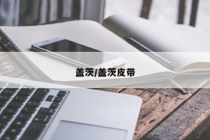 盖茨/盖茨皮带