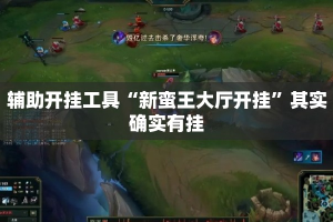 辅助开挂工具“新蛮王大厅开挂”其实确实有挂