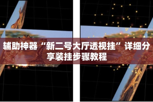 辅助神器“新二号大厅透视挂”详细分享装挂步骤教程