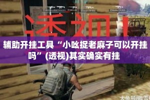 辅助开挂工具“小吆捉老麻子可以开挂吗”(透视)其实确实有挂 