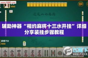 辅助神器“相约麻将十三水开挂”详细分享装挂步骤教程