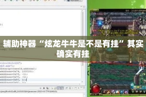 辅助神器“炫龙牛牛是不是有挂”其实确实有挂