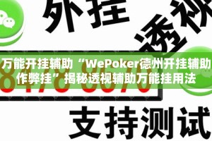 万能开挂辅助“WePoker德州开挂辅助作弊挂”揭秘透视辅助万能挂用法