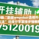 辅助神器“新版wepoker透视开挂作弊方法”详细分享装挂步骤教程