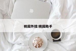 桃园外挂:桃园助手