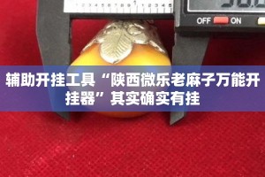辅助开挂工具“陕西微乐老麻子万能开挂器”其实确实有挂