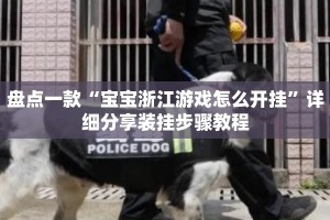 盘点一款“宝宝浙江游戏怎么开挂”详细分享装挂步骤教程