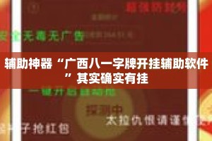 辅助神器“广西八一字牌开挂辅助软件”其实确实有挂
