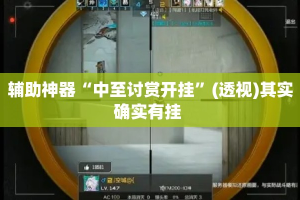 辅助神器“中至讨赏开挂”(透视)其实确实有挂 