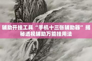 辅助开挂工具“手机十三张辅助器”揭秘透视辅助万能挂用法