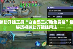 辅助开挂工具“白金岛三打哈免费挂”揭秘透视辅助万能挂用法